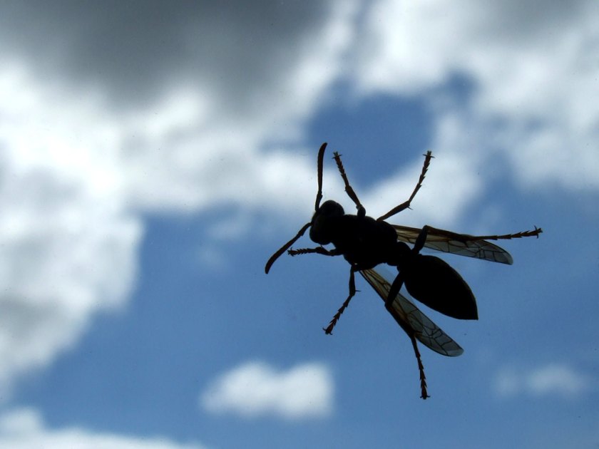 Comportamiento de los nuevos tipos de clientes digitales