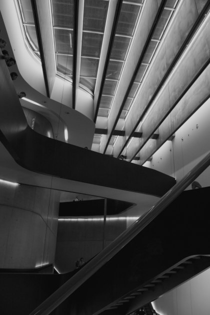 La excelencia no es una excepción