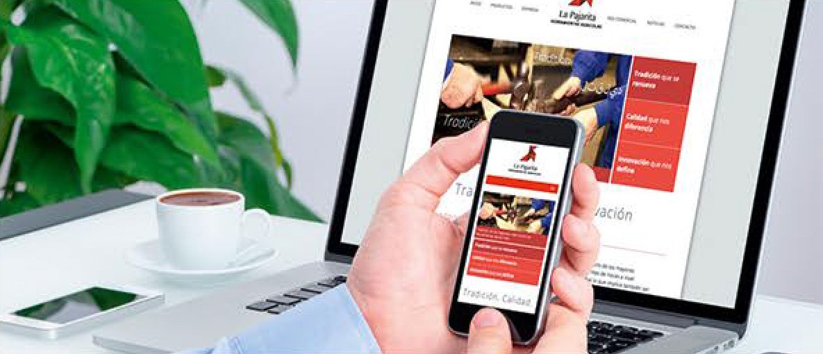 ¿Necesitas una buena imagen digital? VI-Destacar de la competencia