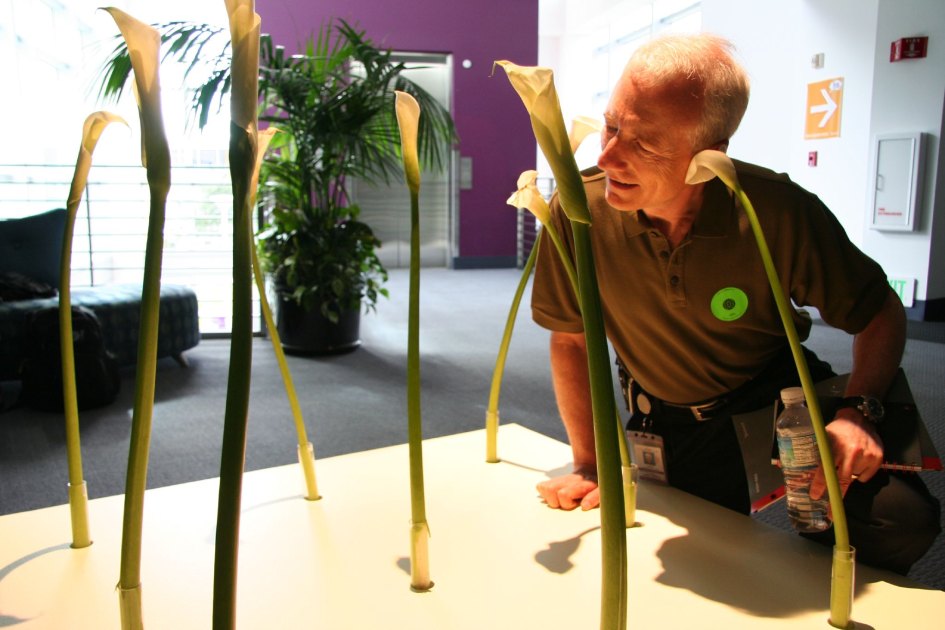 Fallece Larry Tesler el genio desconocido del copia-pega