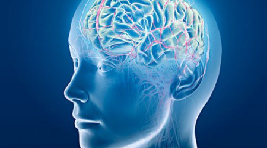 Introversión, extroversión digital y la búsqueda de la felicidad